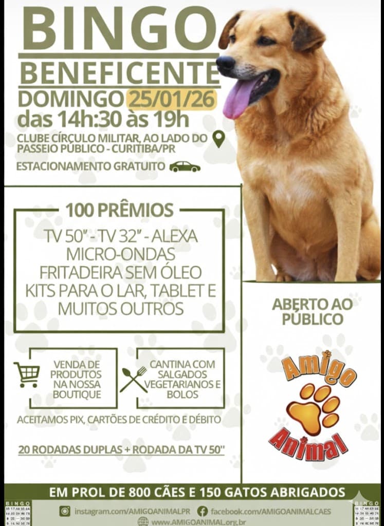 Poster Bingo Beneficente Amigo Animal